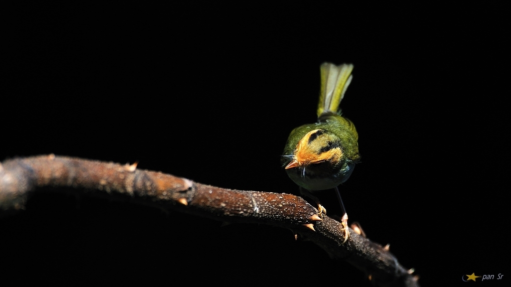 http://i.dcview.tw/gallery/201202/c47277c8664e5c7da54bfa71985df812.jpg