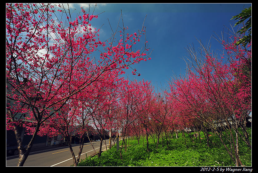 http://i.dcview.tw/gallery/201202/c52c933d9708d25d9bf0c4f75e74f0cd.jpg