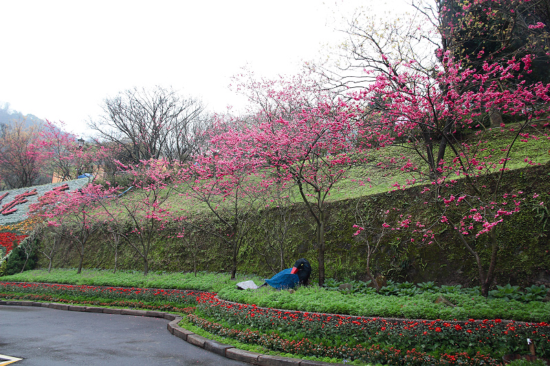 http://i.dcview.tw/gallery/201202/c7838a9004d36a7d60ae66d4bbab722e.jpg