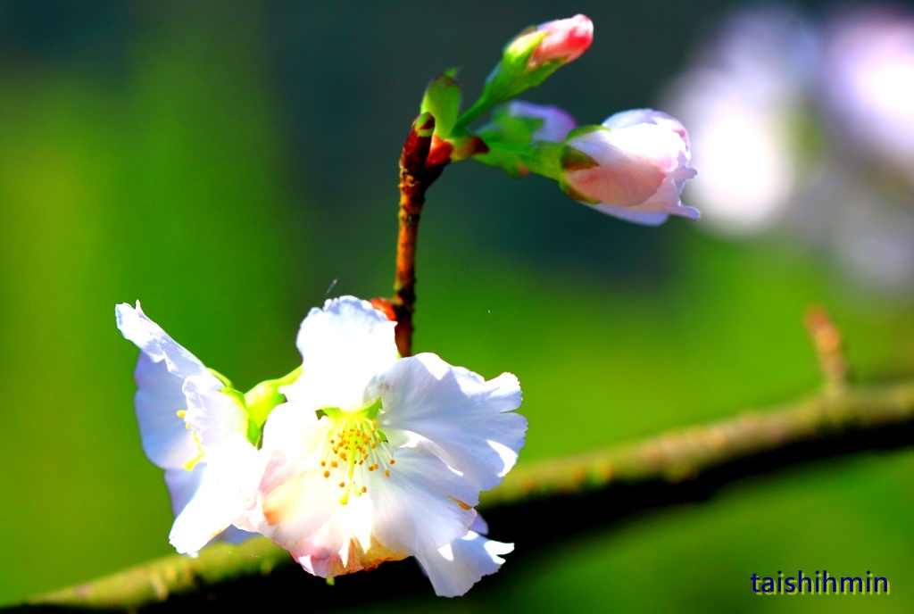 http://i.dcview.tw/gallery/201202/c80593316727c78c53127c5bd177d848.jpg