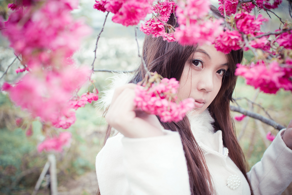 http://i.dcview.tw/gallery/201202/cb797e721f6f0f16cad435aad8e8a376.jpg