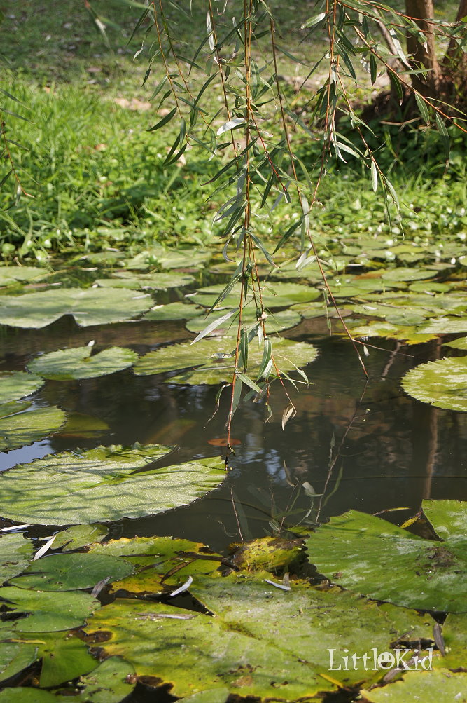 http://i.dcview.tw/gallery/201202/cd732732b7fd1e1358a56500eb2d0f35.jpg