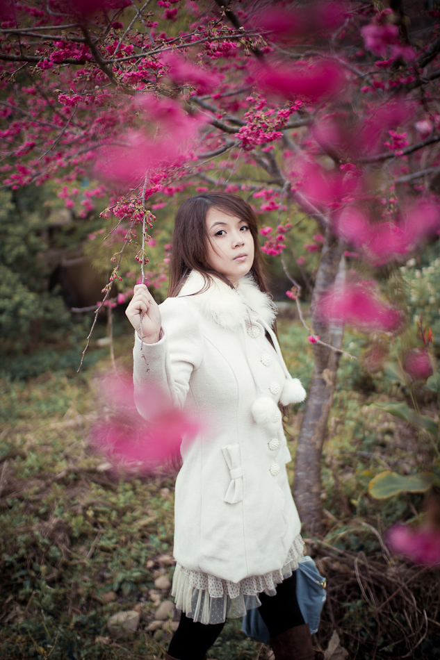 http://i.dcview.tw/gallery/201202/ceecfcd19b64c17d661b98a2cb777474.jpg