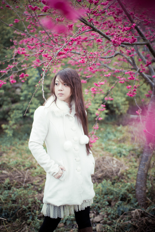 http://i.dcview.tw/gallery/201202/cf488b0887777ed6758dd926d885f551.jpg
