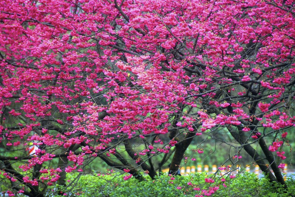 http://i.dcview.tw/gallery/201202/cfa2d6b723630c14d74ab0904dee012a.jpg