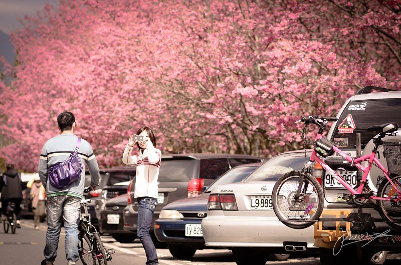 http://i.dcview.tw/gallery/201202/d0dca043c5382a3fee837f35c15013d8.jpg