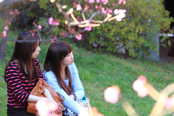http://i.dcview.tw/gallery/201202/d1d5ead073f12b42db3ca1c8f856fdcc.jpg