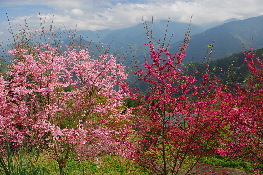 http://i.dcview.tw/gallery/201202/d2ec7cc2276e3a9134b5abb0a8ec9495.jpg
