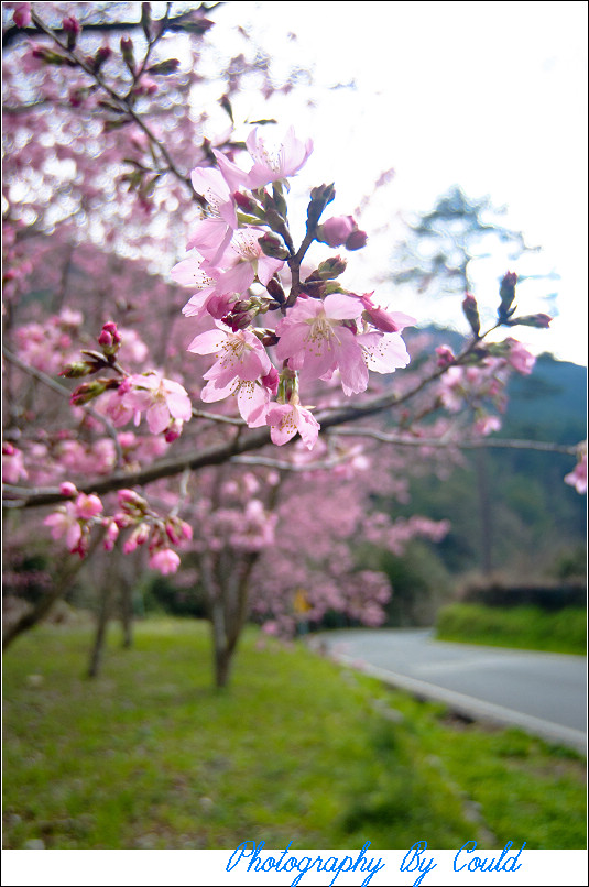 http://i.dcview.tw/gallery/201202/d350b3e45f17a9eae196a676d49a7b30.jpg