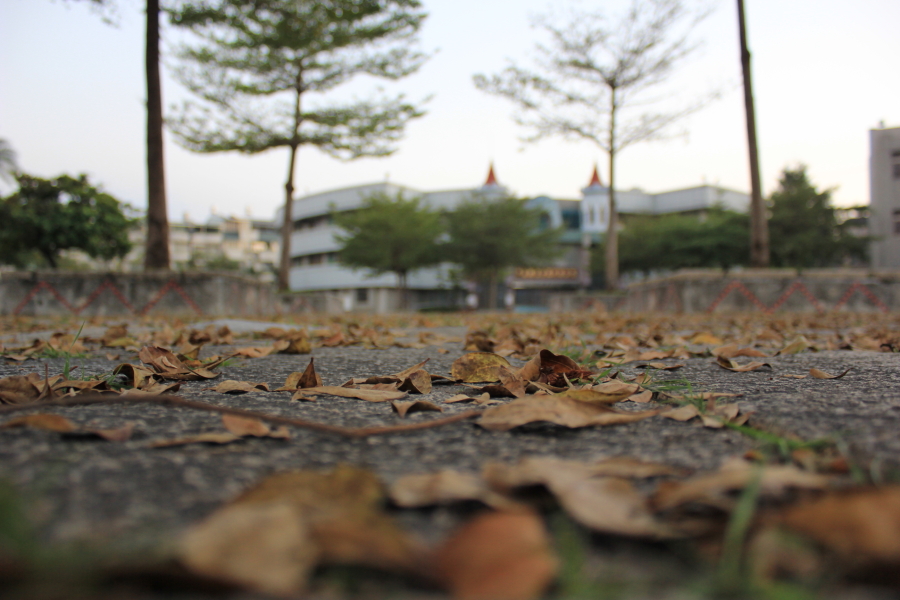http://i.dcview.tw/gallery/201202/d437e0addc00a9121313066b3197d169.jpg