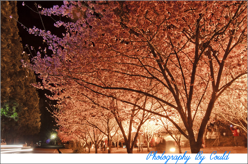 http://i.dcview.tw/gallery/201202/d443bce2d9283a9247000fd15f9b59d0.jpg