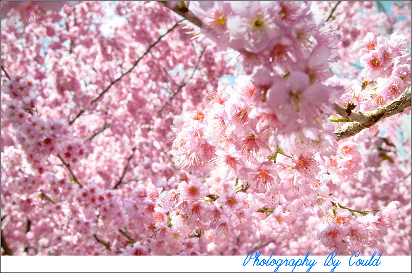 http://i.dcview.tw/gallery/201202/d44f33a4ba7210b34254a5b3902c61b4.jpg