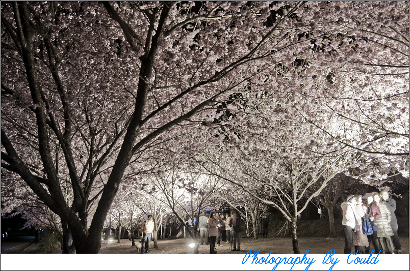 http://i.dcview.tw/gallery/201202/d5d35dc187425a982698fa6b42f46a6b.jpg