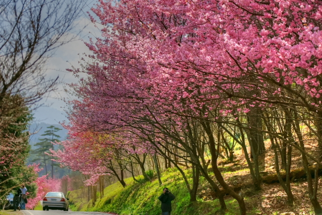 http://i.dcview.tw/gallery/201202/d681d7a78d533a5e3dd989ae4f3299a9.jpg