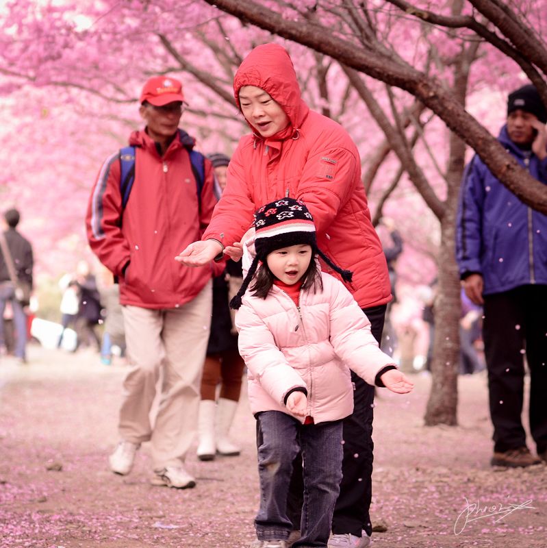 http://i.dcview.tw/gallery/201202/d832e19b8a2609a34ec307ea9425233c.jpg