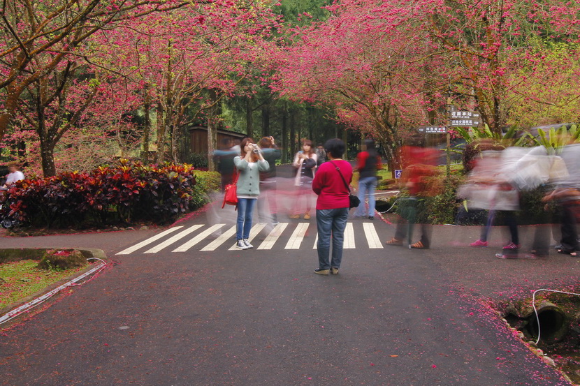http://i.dcview.tw/gallery/201202/d898e95fa573845028a67f31b9f86cd0.jpg