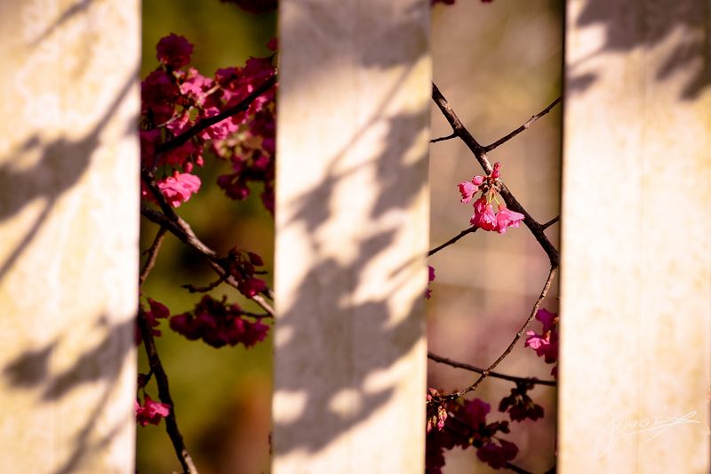 http://i.dcview.tw/gallery/201202/d8f82e440added859ebbdb1c6dcd594c.jpg