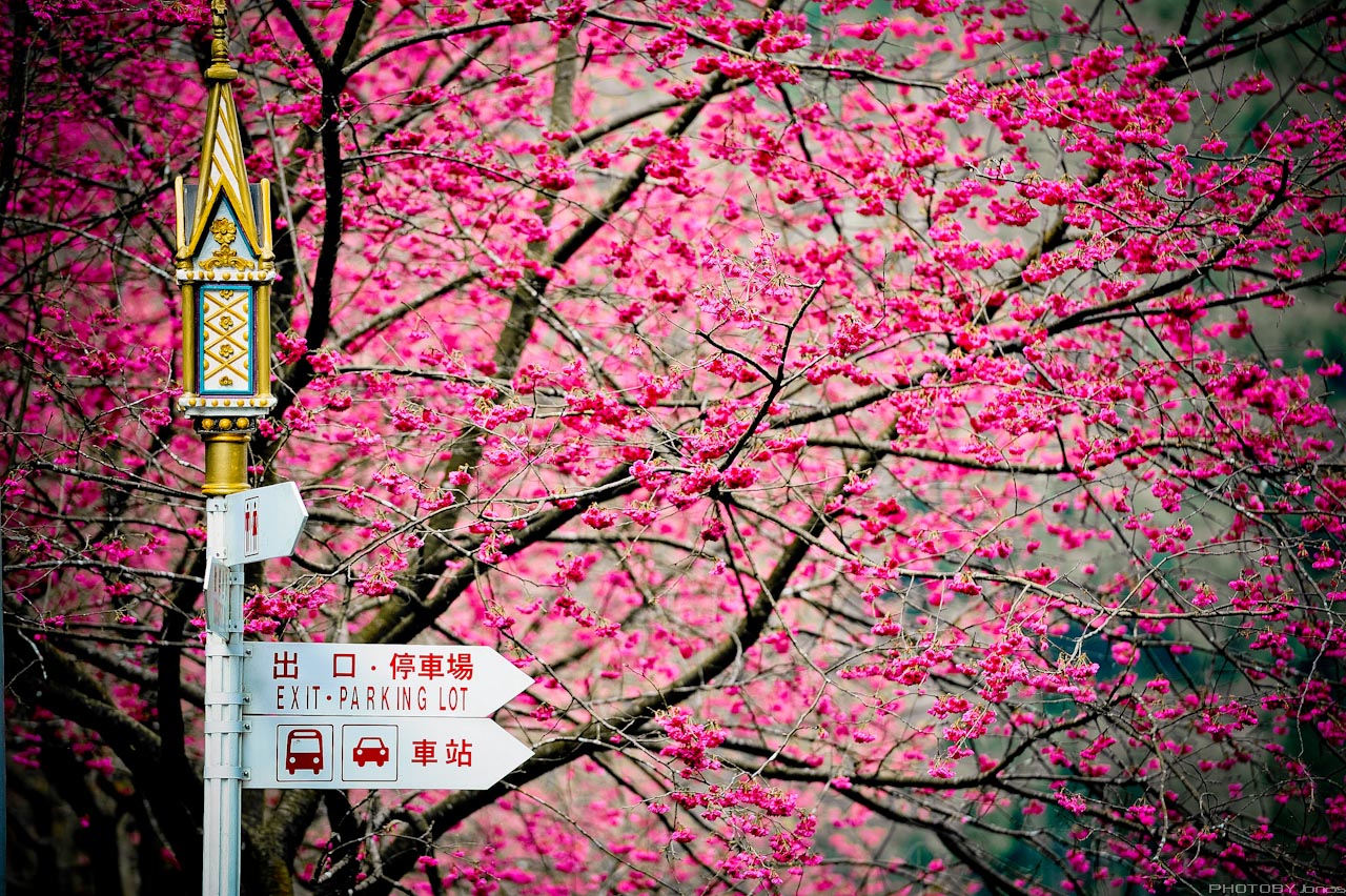 http://i.dcview.tw/gallery/201202/d98241b3fbca635d18a33a96ce7278c9.jpg