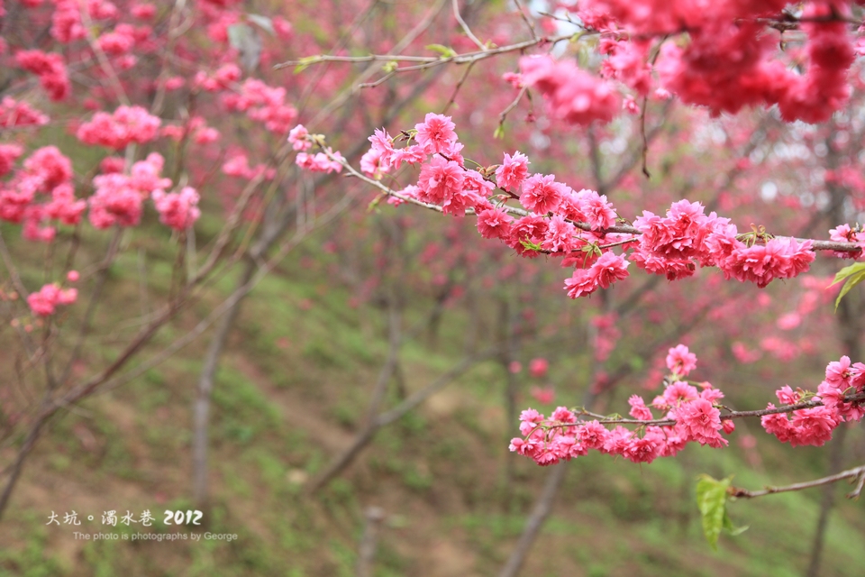 http://i.dcview.tw/gallery/201202/d9bdc05cc5761de489ee42d4bab09845.jpg