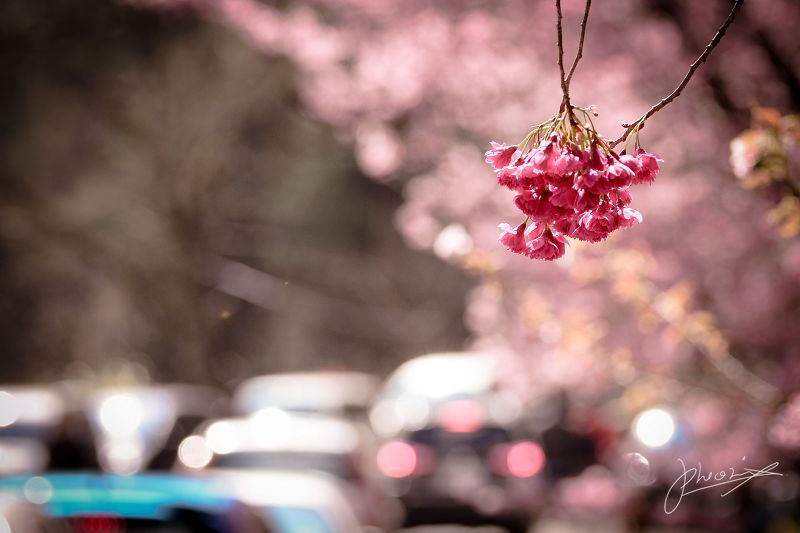 http://i.dcview.tw/gallery/201202/ddc683503a5577be36f12654381216d6.jpg