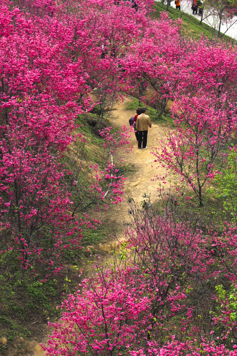 http://i.dcview.tw/gallery/201202/ddd65e687393e8303a78b6cb0833ab57.jpg