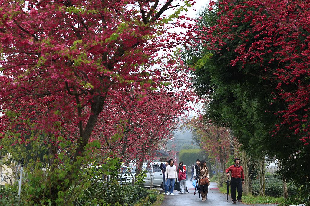 http://i.dcview.tw/gallery/201202/e0fb1d70933d0e024137a478a6676c72.jpg