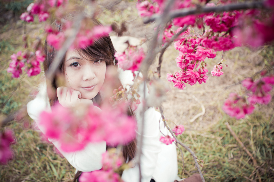 http://i.dcview.tw/gallery/201202/e1acdde77b2b3c6fdac8356c5945ea01.jpg