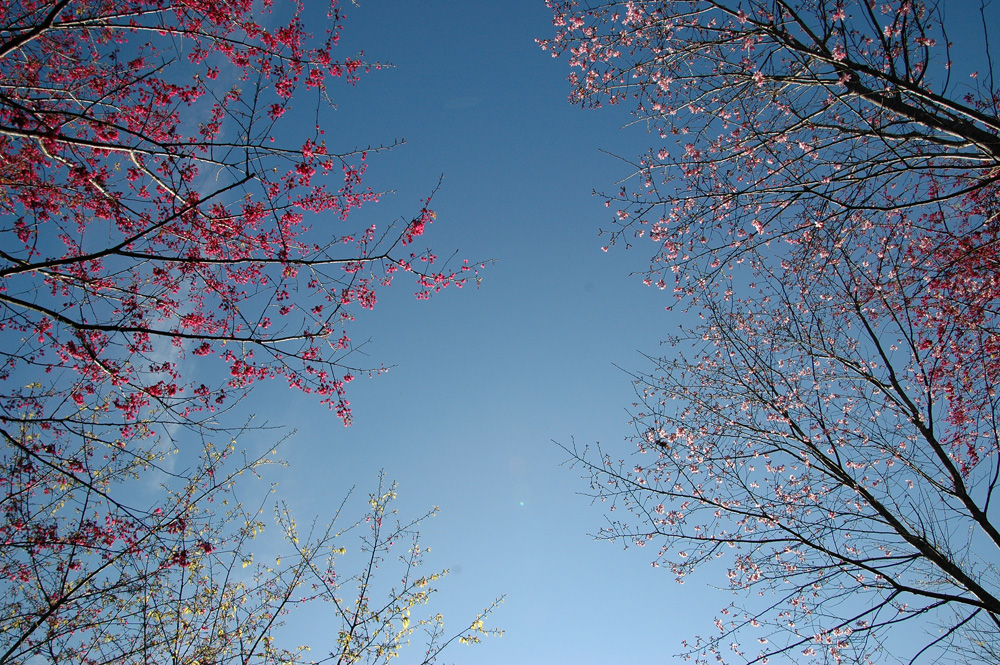 http://i.dcview.tw/gallery/201202/e43047ad5256d071a1256ad06d963828.jpg