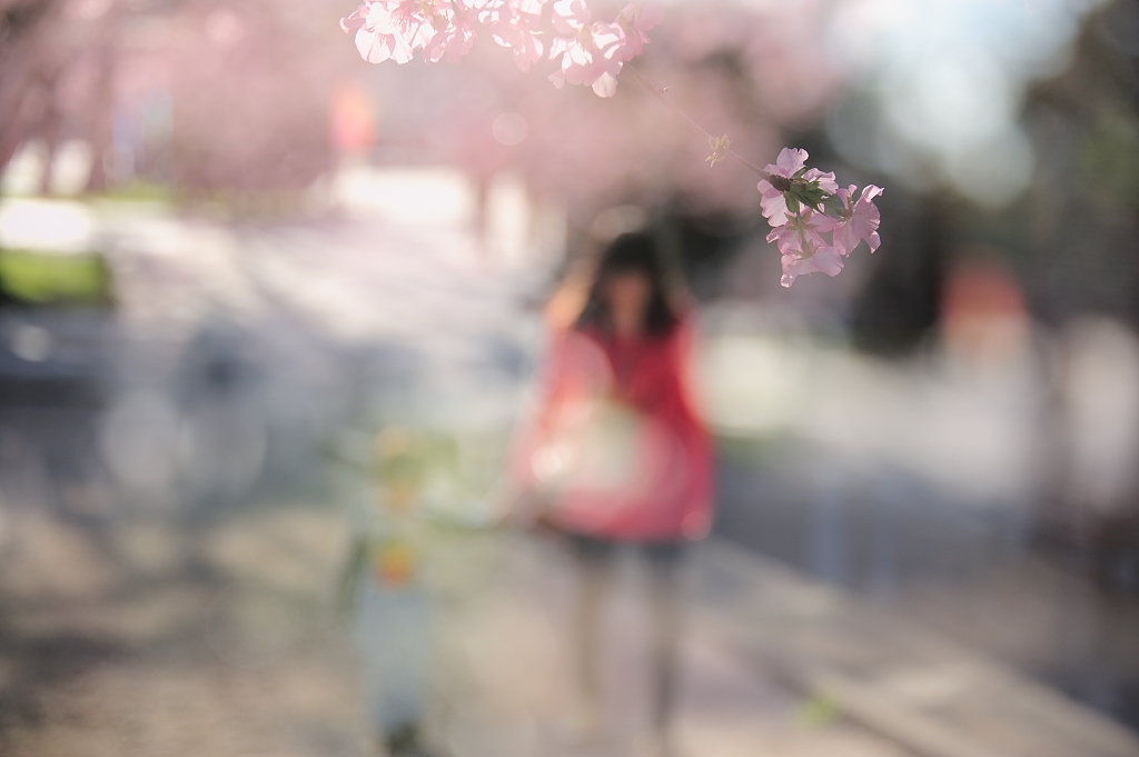 http://i.dcview.tw/gallery/201202/e486048ff0b74ac2a1655519d8f25bb4.jpg