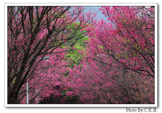 http://i.dcview.tw/gallery/201202/e6eeac66fff2f06fe393893de2b0e61f.jpg