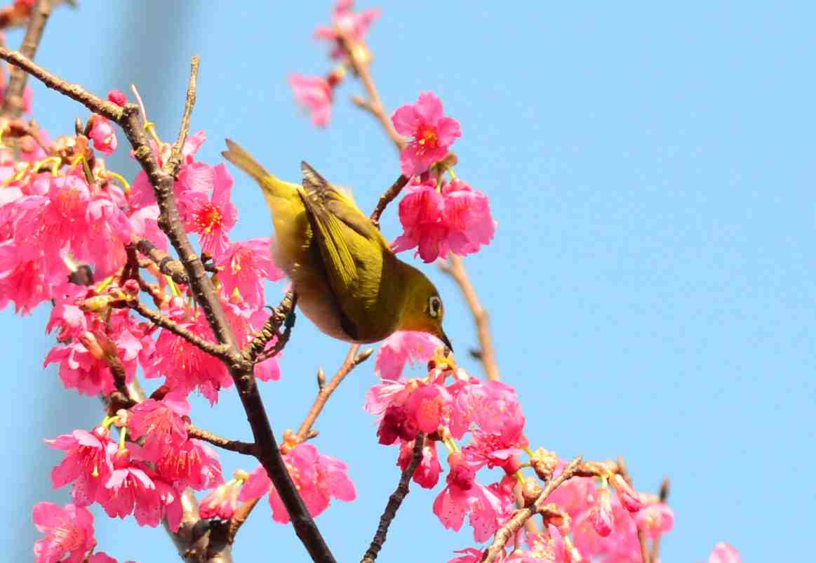 http://i.dcview.tw/gallery/201202/e6eefeaa494be3f83d086469f1067cc4.jpg