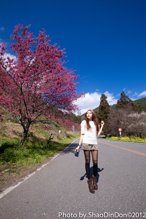 http://i.dcview.tw/gallery/201202/e731535f3afb832e6cf1e63155bec3c1.jpg