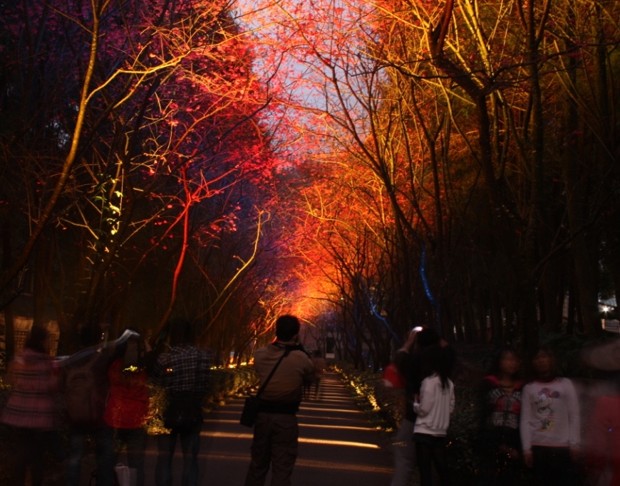 http://i.dcview.tw/gallery/201202/e7f3f9251d52c222488fd4e847002937.jpg