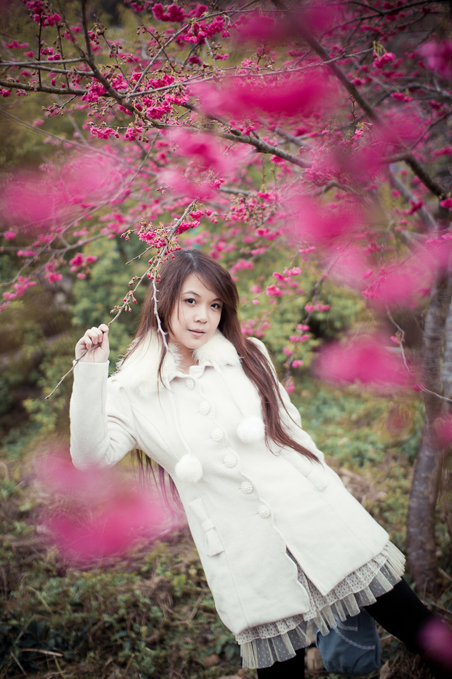 http://i.dcview.tw/gallery/201202/e846457bcd2479bc18076be28654108e.jpg
