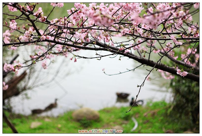 http://i.dcview.tw/gallery/201202/e97f767c047a9a4b4b652a7af6ab72a7.jpg