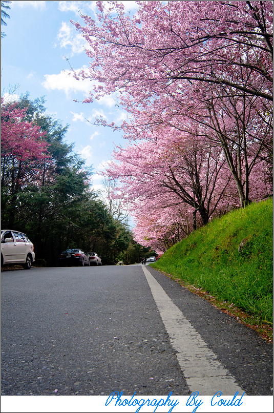 http://i.dcview.tw/gallery/201202/eb05e849de1ed0775be2125abc180c1f.jpg