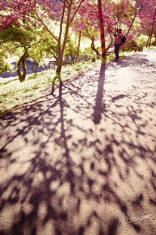 http://i.dcview.tw/gallery/201202/eb48d0d42410ad041a1a0d89efc8a28e.jpg