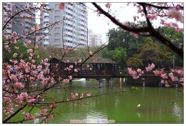http://i.dcview.tw/gallery/201202/eb6ce42e244d86c8587bd51432bbe046.jpg