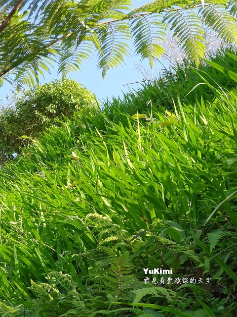 http://i.dcview.tw/gallery/201202/ee5cf915c489ec81183d6e10d4f34bc0.jpg