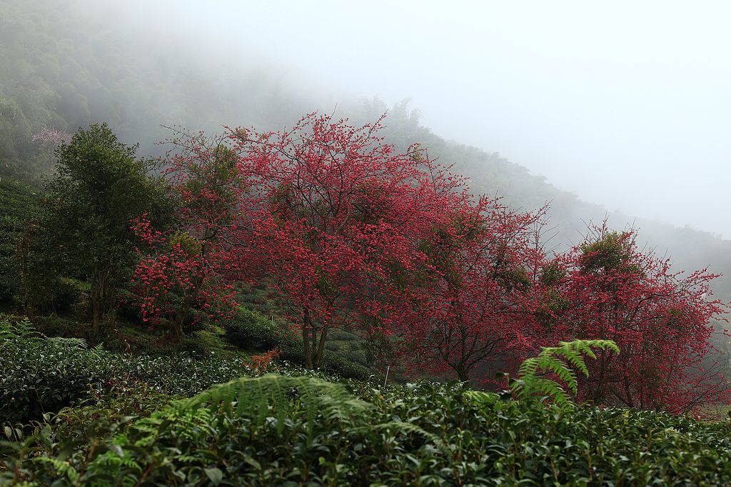 http://i.dcview.tw/gallery/201202/ee921ca0f63d6b46746f1b1cacf9e2d0.jpg