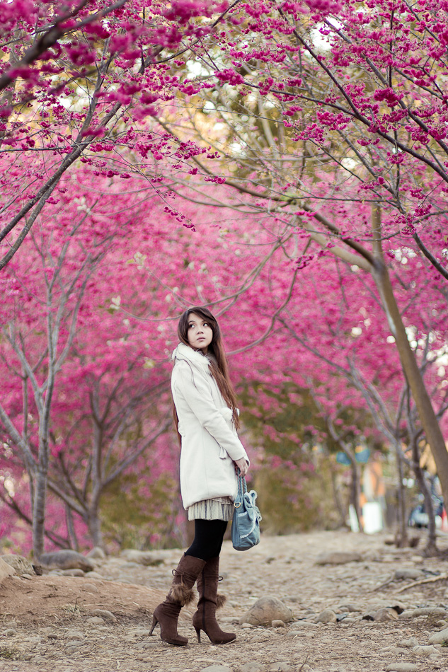 http://i.dcview.tw/gallery/201202/ef47e849f1aa80521c80eb556223abce.jpg