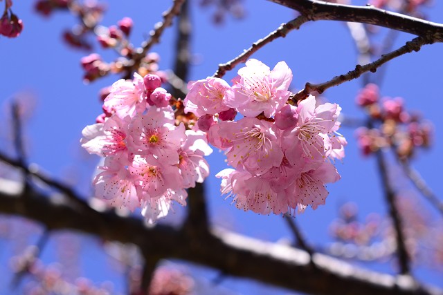 http://i.dcview.tw/gallery/201202/ef550f82f3a902eb9692a8fe8f241ca1.jpg