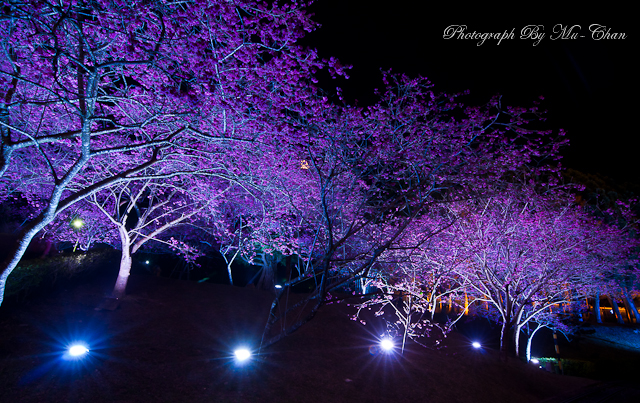 http://i.dcview.tw/gallery/201202/efd3166fb9ff95ec28171ffe9b0f2f37.jpg