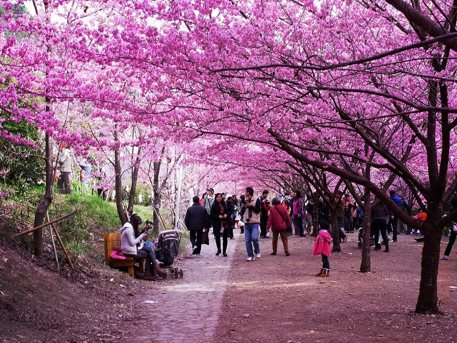 http://i.dcview.tw/gallery/201202/f38b86dcc56d7c15294651253cdfaabc.jpg