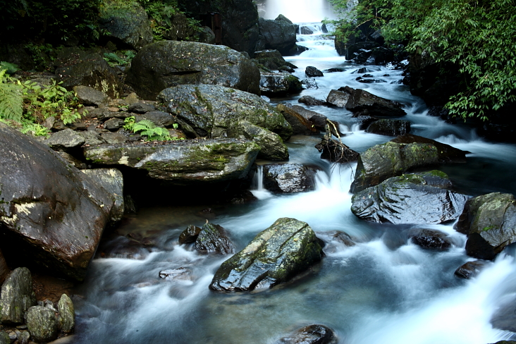 http://i.dcview.tw/gallery/201202/f3dd3ff945013d93ffbb1850aa4ee438.jpg