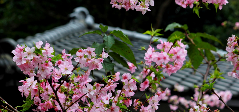 http://i.dcview.tw/gallery/201202/f45ac28cf6fd88646f73f0adbe397e77.jpg