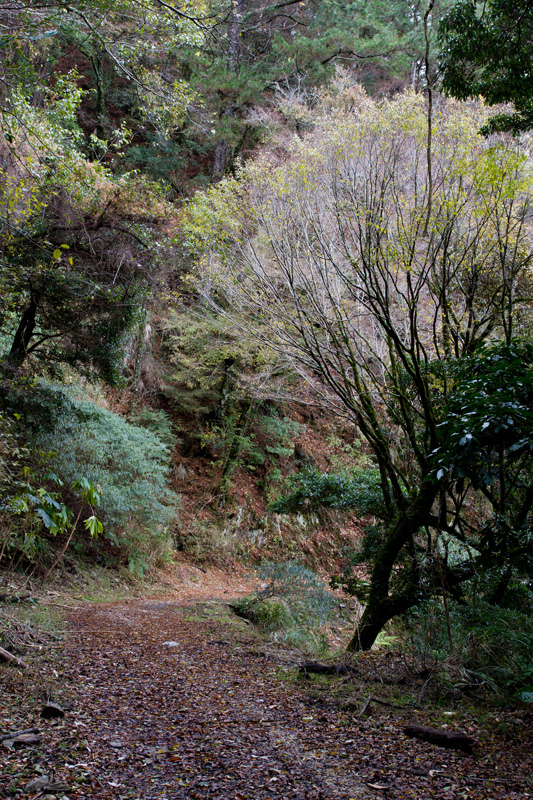 http://i.dcview.tw/gallery/201202/f469f290151f685e450e3f6a4528b0b6.jpg