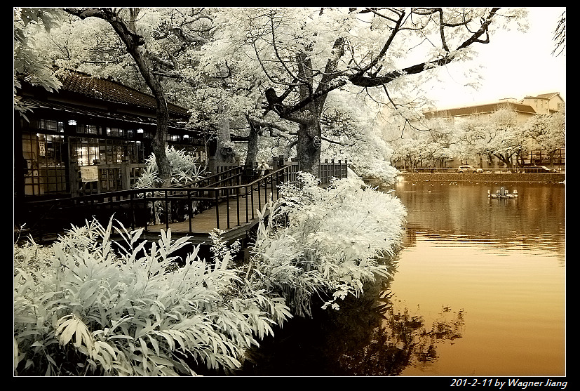 http://i.dcview.tw/gallery/201202/f509c850aca81dd4c28babce8934a61a.jpg
