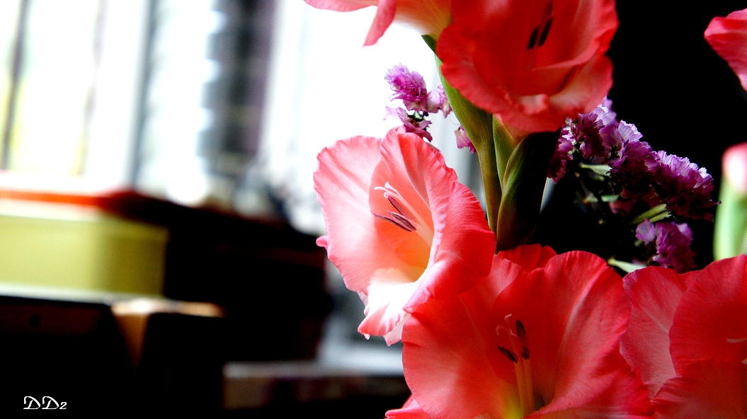 http://i.dcview.tw/gallery/201202/f5769415d9fc57259f04ab635e8de503.jpg