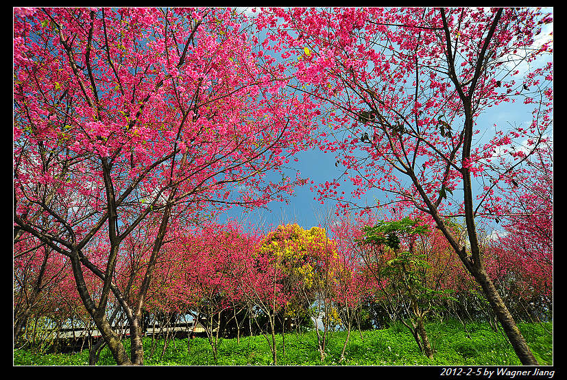 http://i.dcview.tw/gallery/201202/f58af8565a3f0a34dbb7c4e11bc02291.jpg